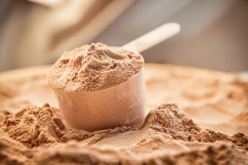 Hangi Protein Tozunu Almalıyım?