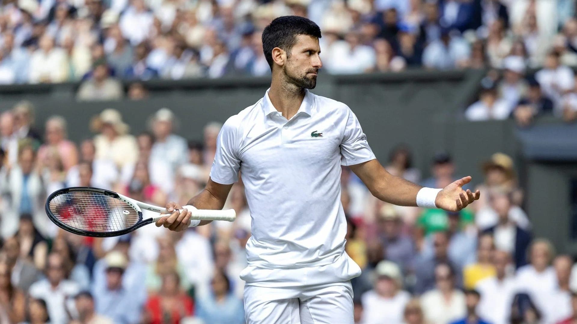Novak Djokovic