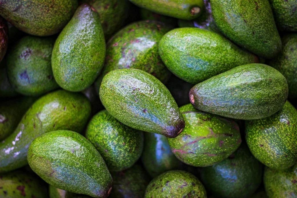 Avokado Faydaları Nelerdir? Ne İşe Yarar?