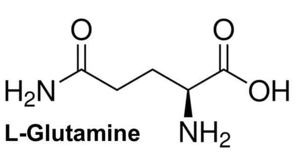 Glutamin Ne İşe Yarar?