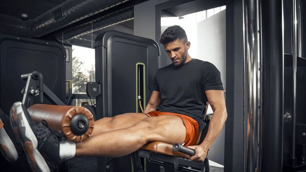 Leg Extension