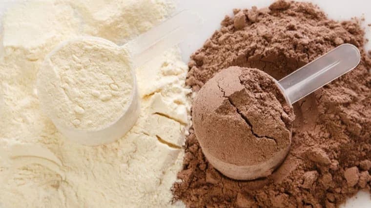 Gainer Nedir? Gainer Hakkında Her Şey