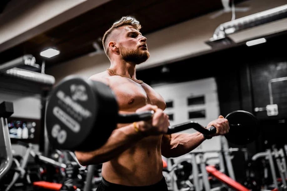Machine Bicep Curl