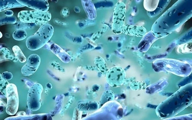 Probiyotik Nedir? Faydaları ve Zararları Nelerdir?