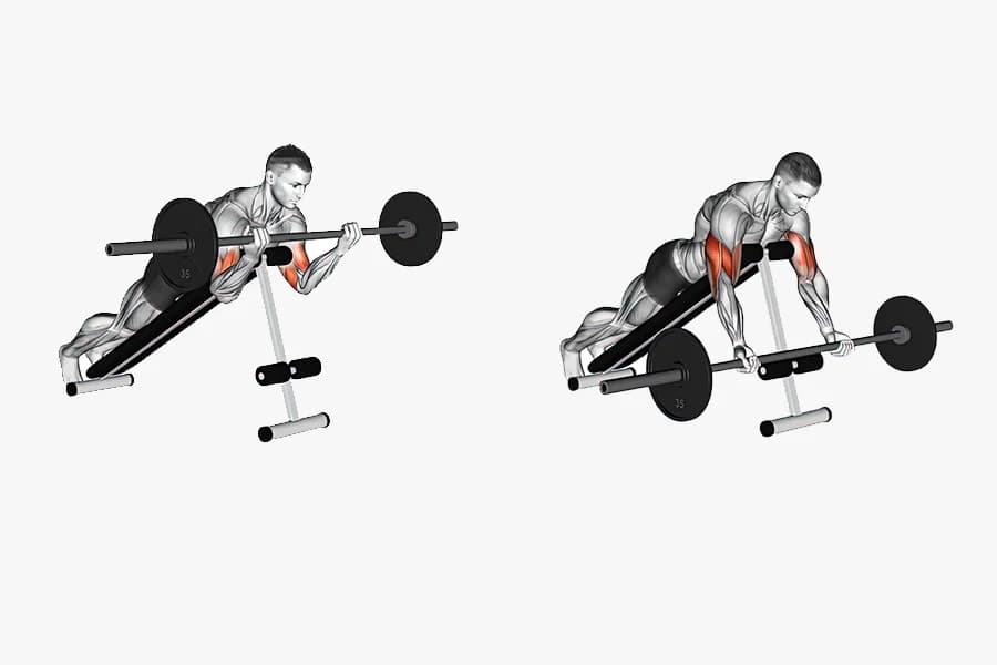 Spider Curl Egzersizi