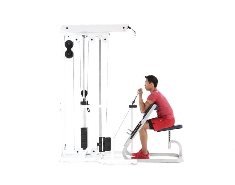 Cable Preacher Curl