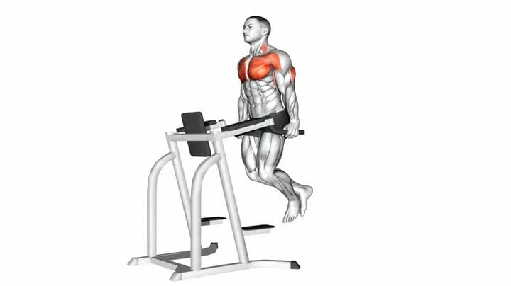 Chest Dip Egzersizi
