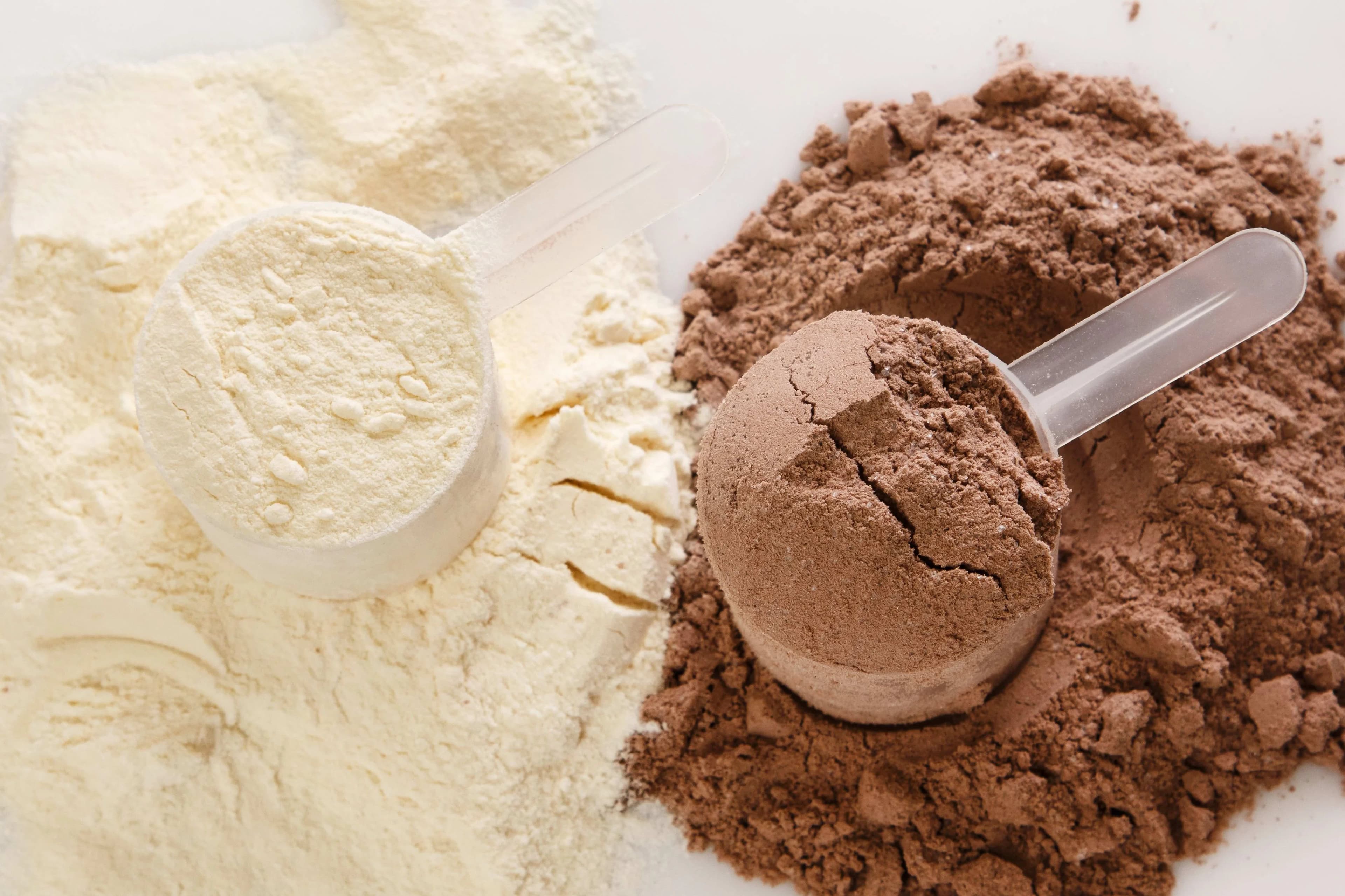 Protein Tozu Nasıl Üretilir?