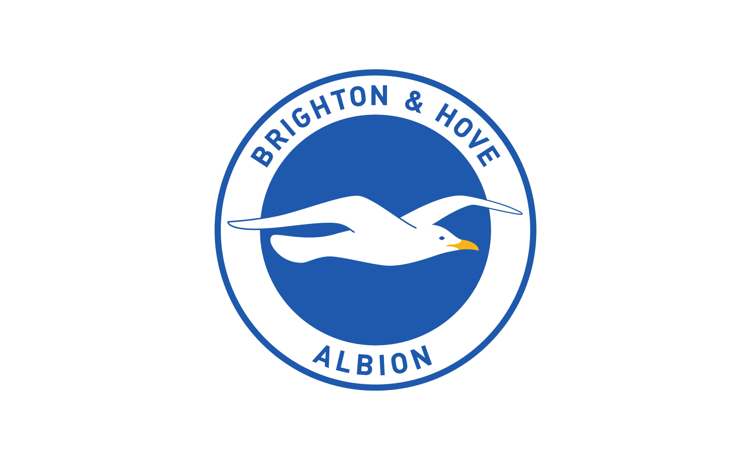 Brighton & Hove Albion Tarihi: Başarılar ve Parlak Yükseliş