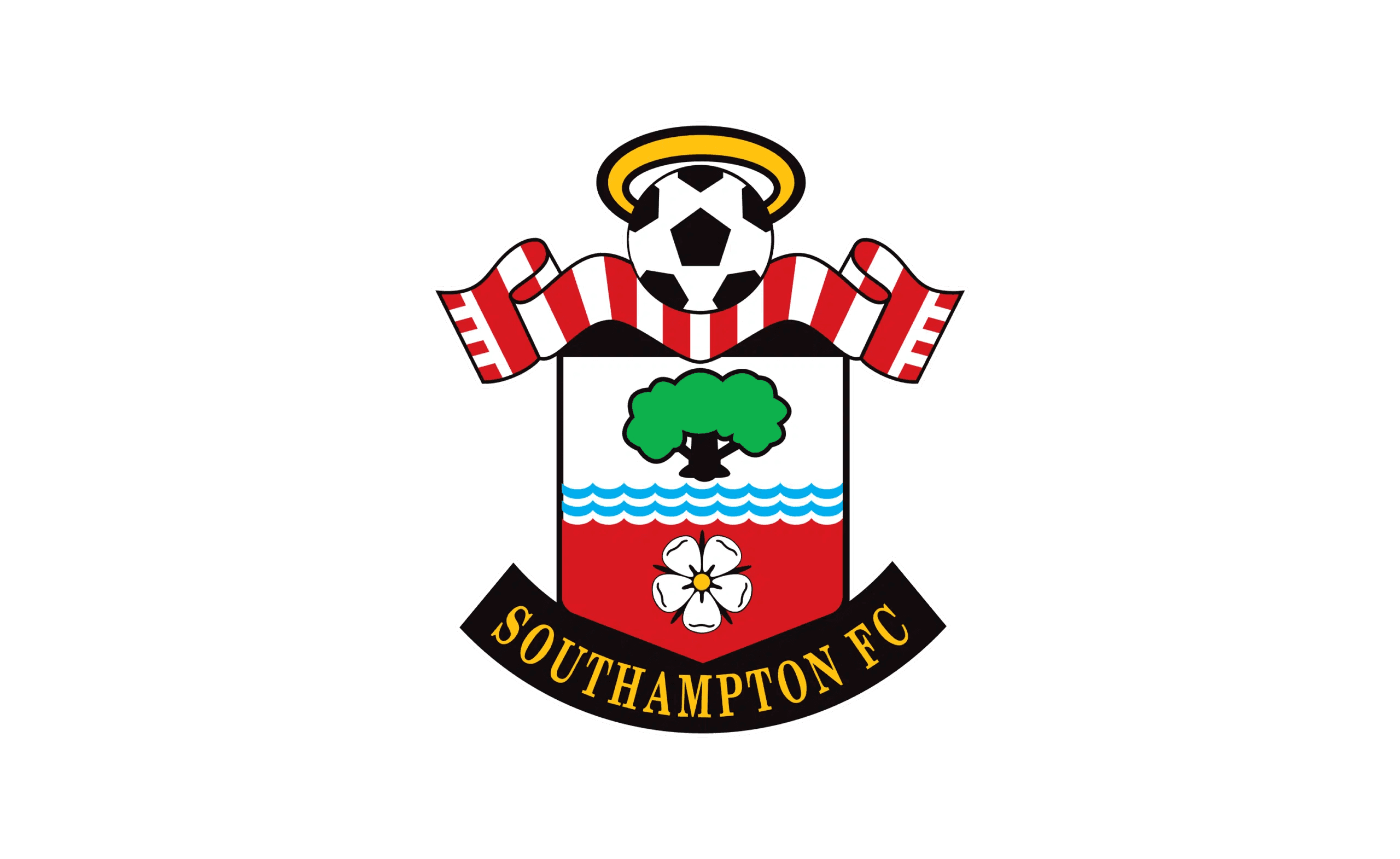 FC Southampton Tarihi: Başarılar ve Kulübün İzindeki Yolculuk