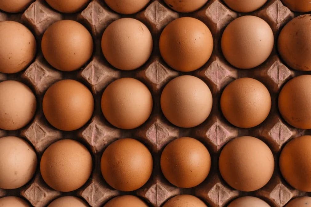 2 Yumurta Kaç Kalori? Protein ve Besin Değerleri