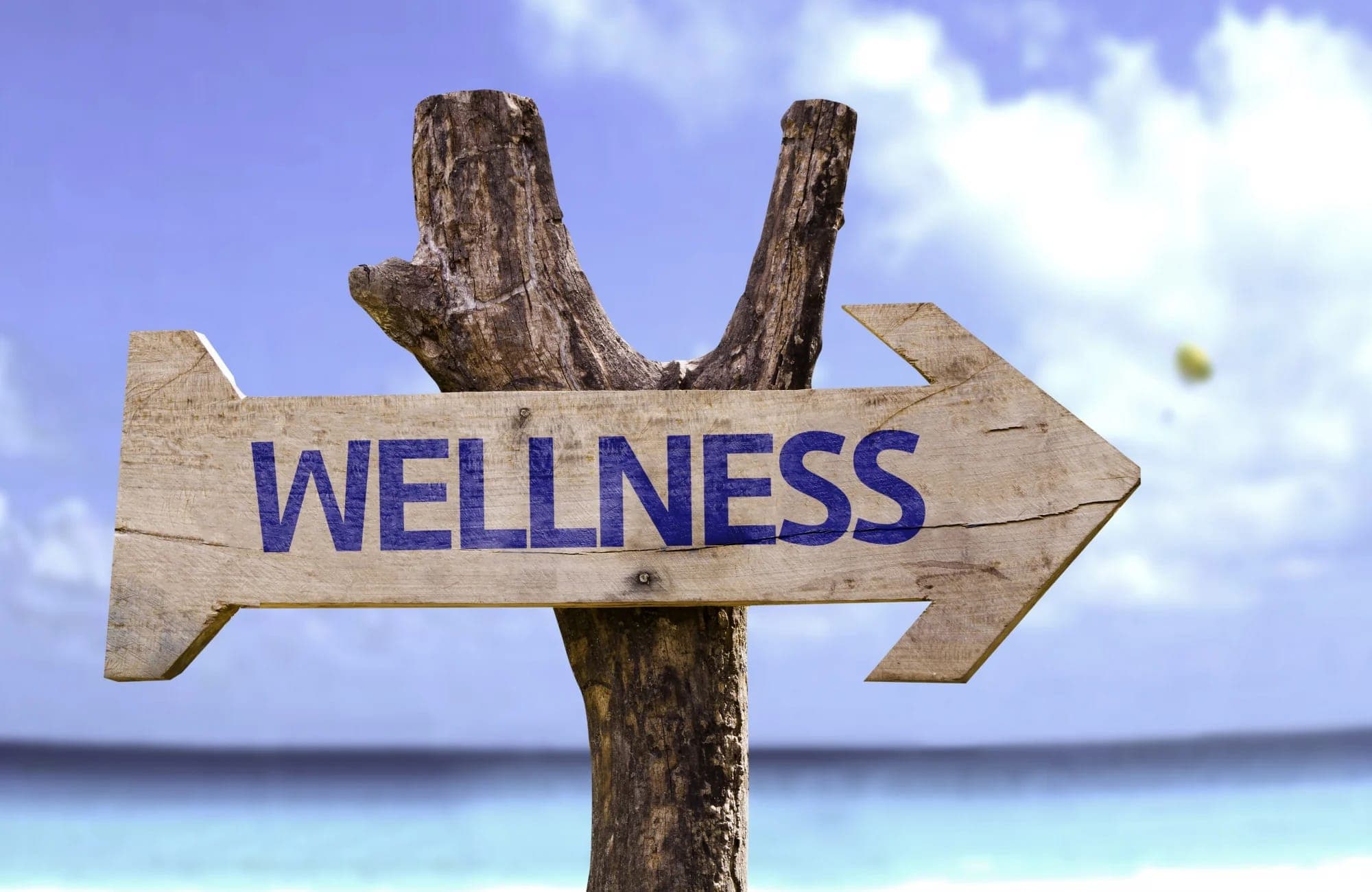 Wellness Nedir? Sağlıklı Yaşamın Püf Noktaları