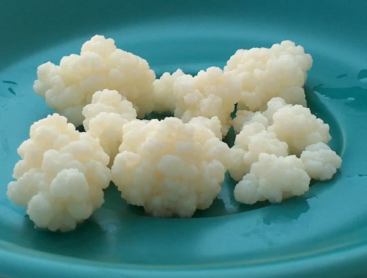 Kefir Kilo Aldırır Mı?