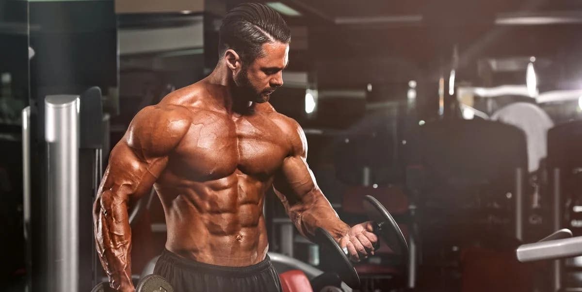 Definasyon Döneminde Nasıl Beslenilmeli? Nasıl Antrenman Yapılmalı?