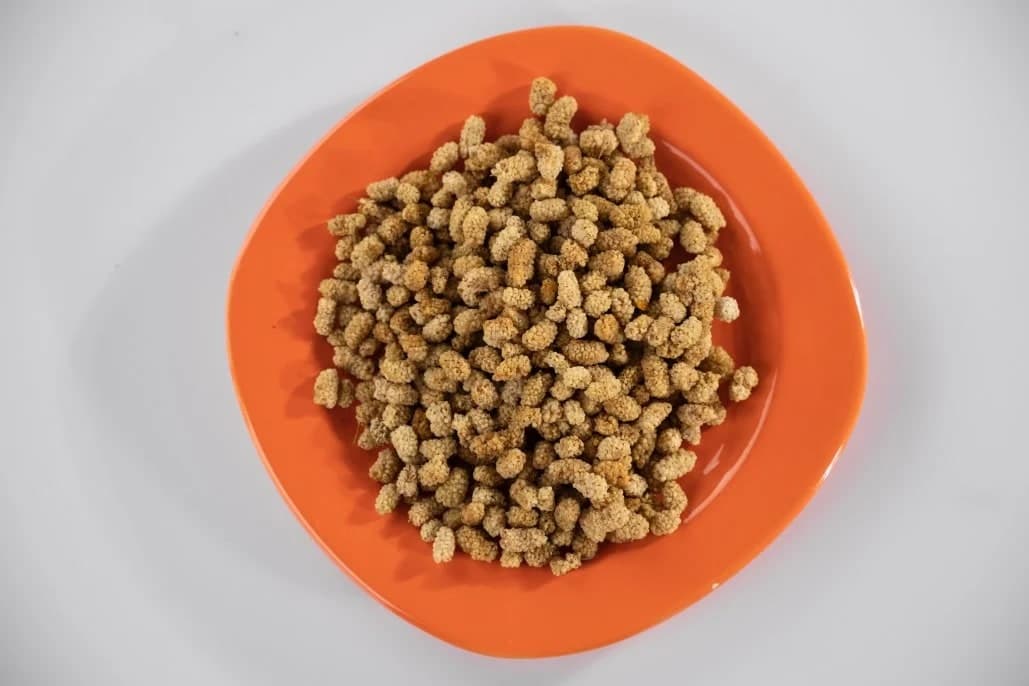 Dut Kurusu Faydaları Nelerdir? Ne İşe Yarar?