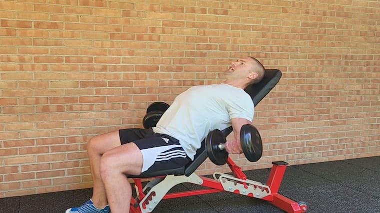 Seated Dumbbell Curl