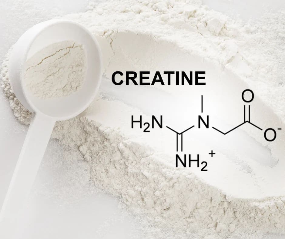 Kreatin Nedir?