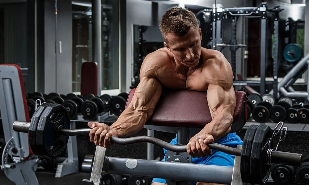 Barbell Preacher Curl