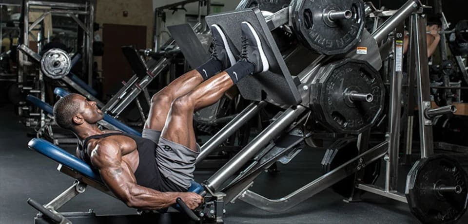 Push Pull Legs (PPL) Nedir?
