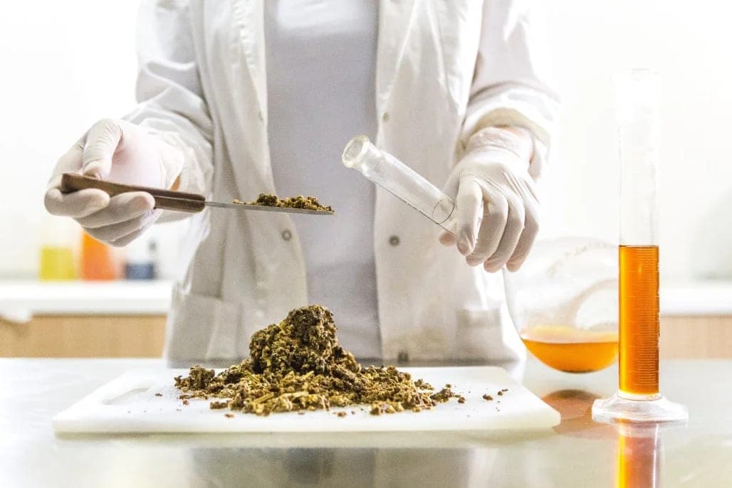 Propolis Faydaları Nelerdir? Ne İşe Yarar?