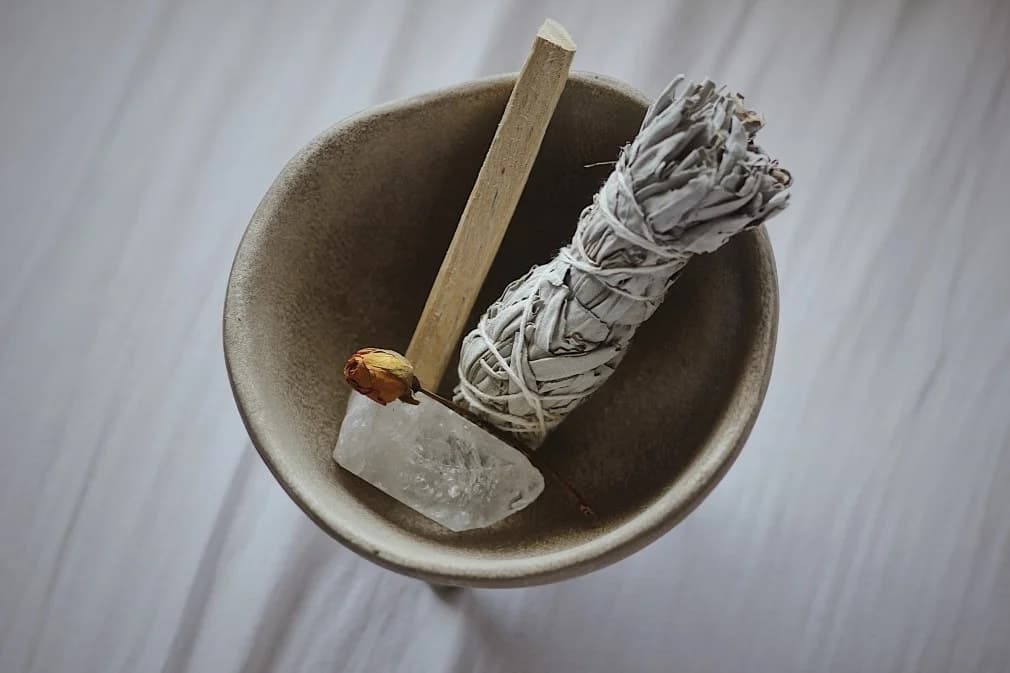 Adaçayı (Salvia officinalis) Faydaları Nelerdir?