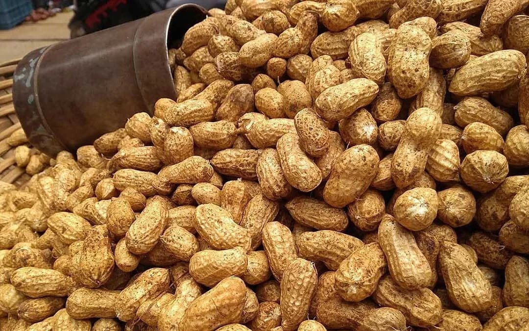 Fıstık Kilo Aldırır Mı?