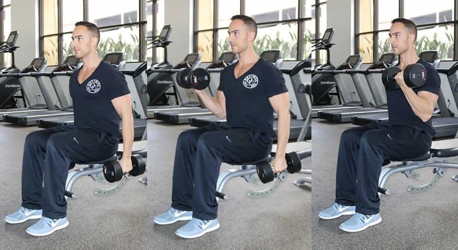 Alternate Seated Dumbbell Curl