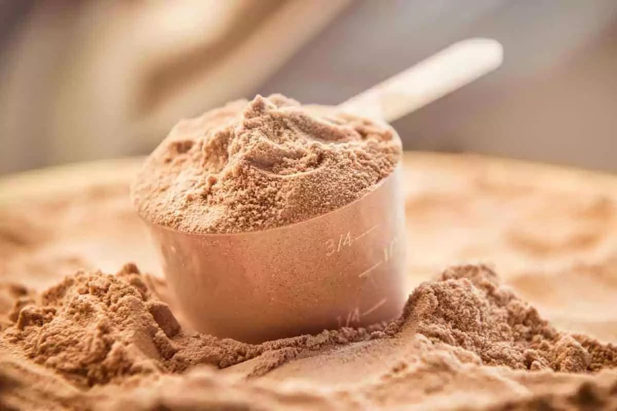 Protein Tozu Ne İşe Yarar?