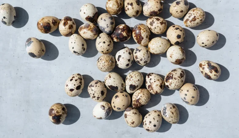 Bıldırcın Yumurtasının Faydaları Nelerdir?