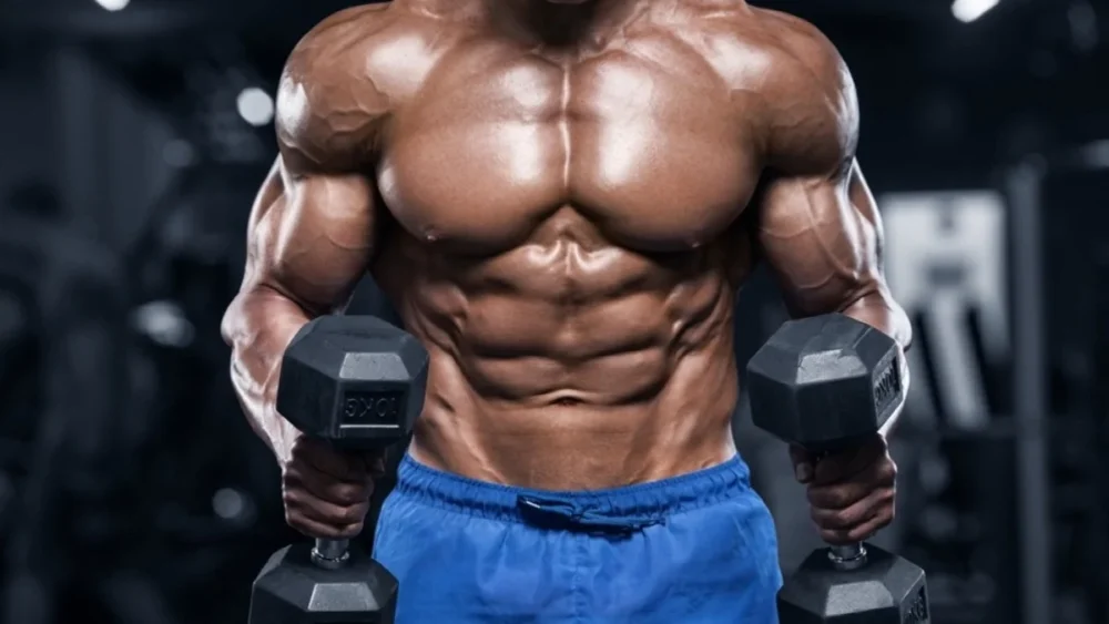 Erkeklerde Total Testosteron Seviyesi Kaç Olmalıdır? 1 Erkeklerde Total Testosteron Seviyesi Kaç Olmalıdır?