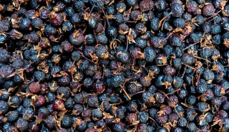 Kara Siyah Kusburnu Nedir Ne Ise Yarar Faydalari ve Zararlari