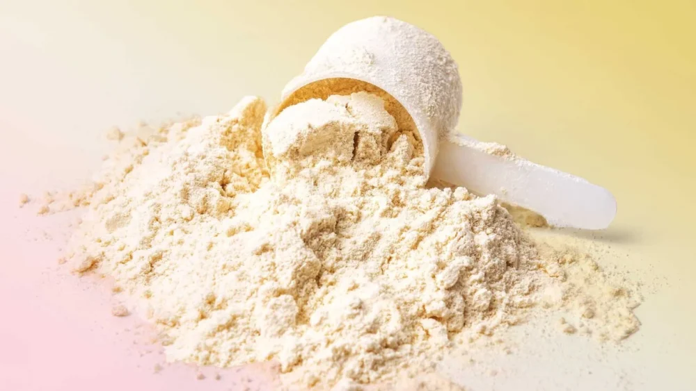 Protein Tozu Kilo Verdirir Mi?