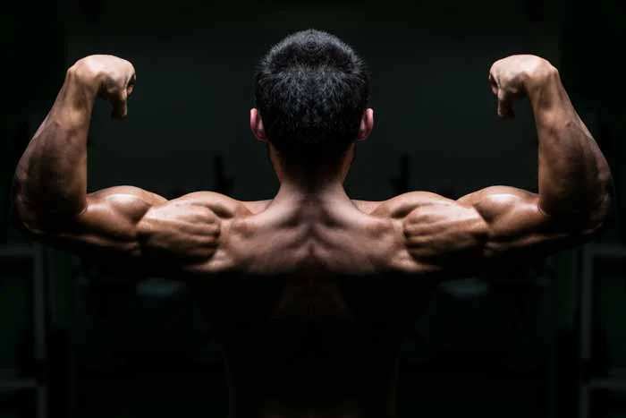 Back Double Biceps Pozu Nasıl Yapılır? 1 Back Double Biceps Pozu Nasıl Yapılır