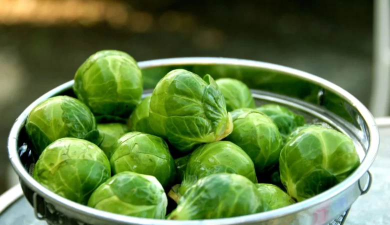 firinda bruksel lahanasi tarifi