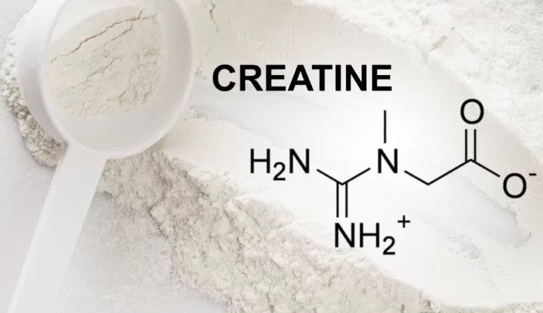 kreatin nedir