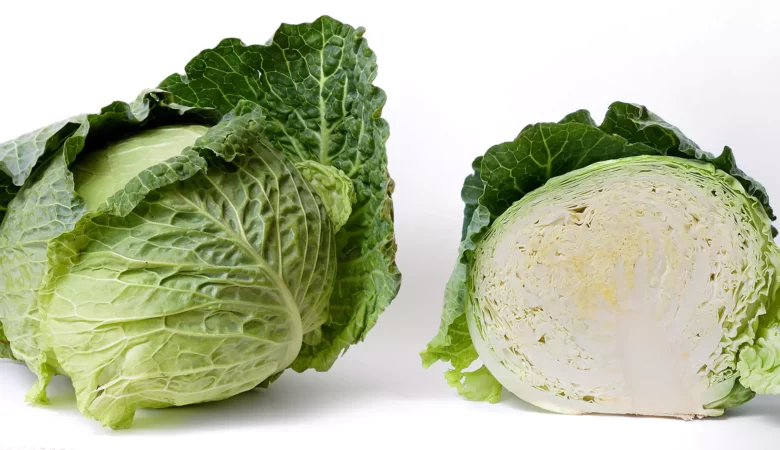 lahanadan lazanya yapimi tarifi