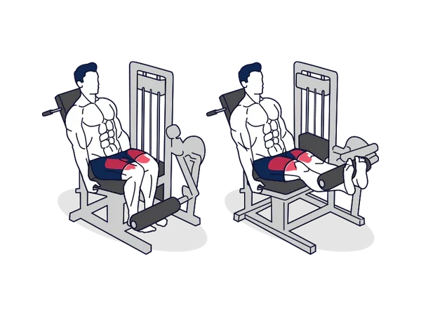 leg extension