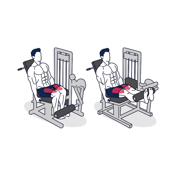 Fitness Egzersiz İsimlerine Ne Kadar Hakimsin? 1 leg extension