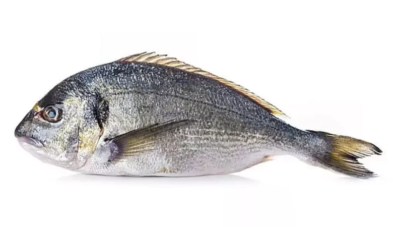 tereyagli lezzetli cipura tarifi