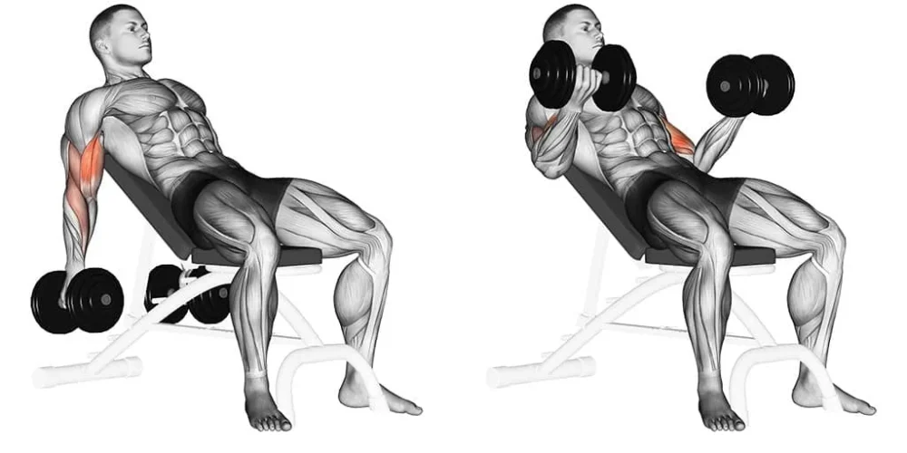 Alternate Incline Dumbbell Curl