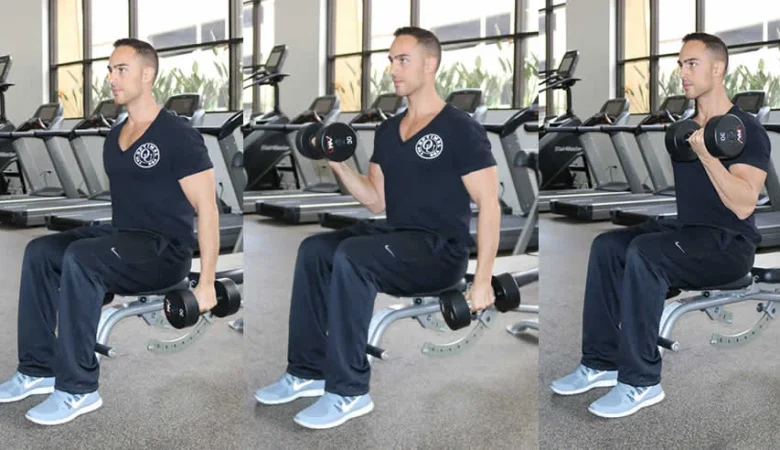 Alternate Seated Dumbbell Curl