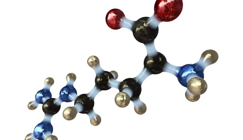 Amino Asit'in Kaslara Faydaları Nelerdir?