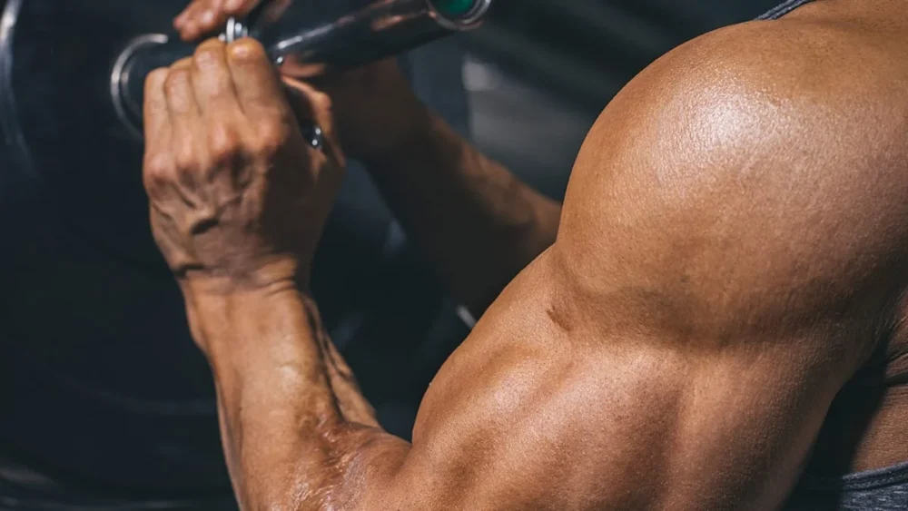 Deri Yırtıkları, Çatlakları Neden Olur? Nasıl İyileşir?