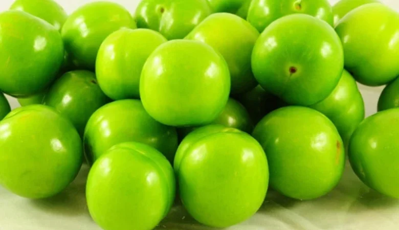 Erik Kilo Aldırır Mı?