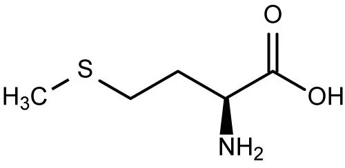 Esansiyel Amino Asitler: Özellikleri, İşlevleri ve Faydaları