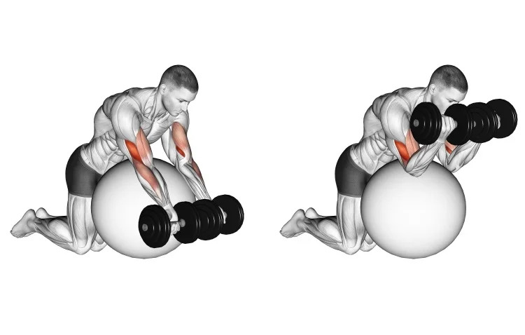 Exercise Ball Preacher Curl