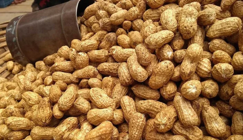 Fıstık Kilo Aldırır Mı?