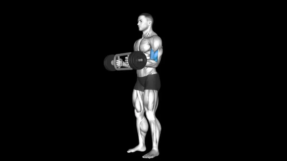 Hammer Bar Preacher Curl 1 Hammer Bar Preacher Curl