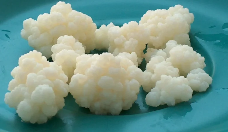 Kefir Kilo Aldırır Mı