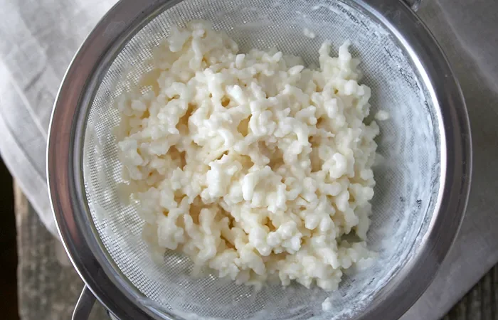 Kefir Nedir? Faydaları ve Zararları Nelerdir?